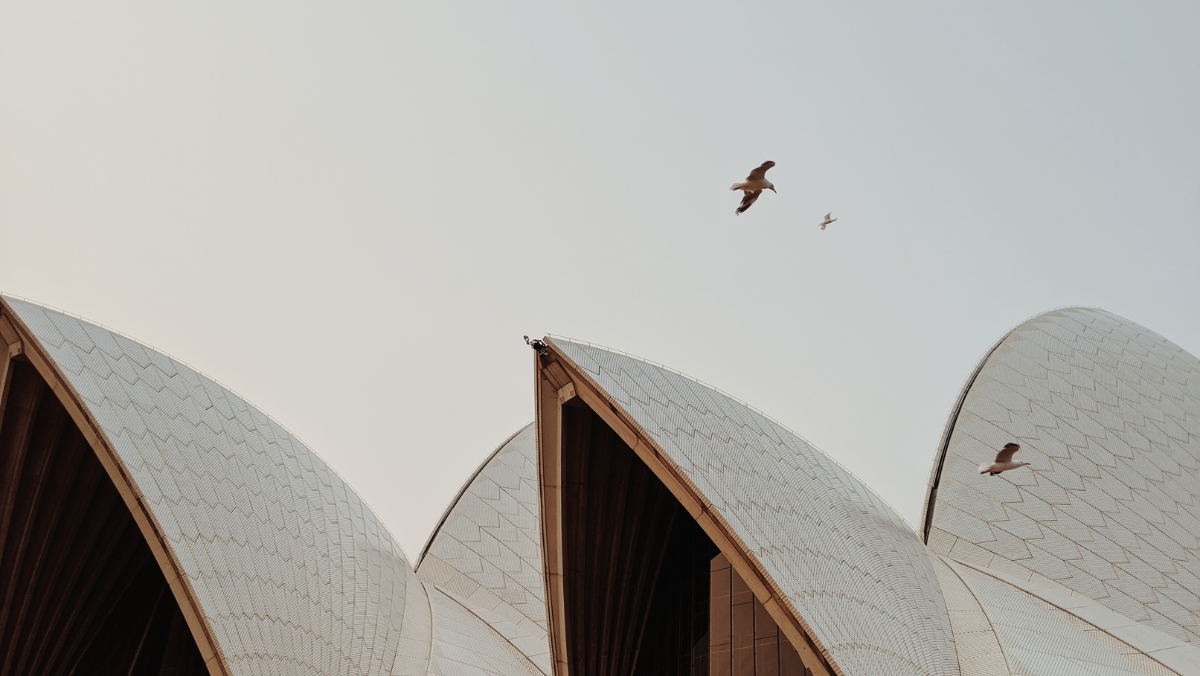 BOSS MEDIA PR RECOGNISED AS ONE OF DESIGNRUSH’S TOP PR AGENCIES IN SYDNEY